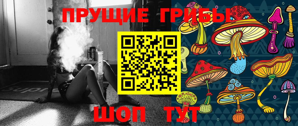 Нальчик  Псилоцибиновые грибы мухоморы  Вход с VPN  Галлюциногенные грибы Psilocybe 