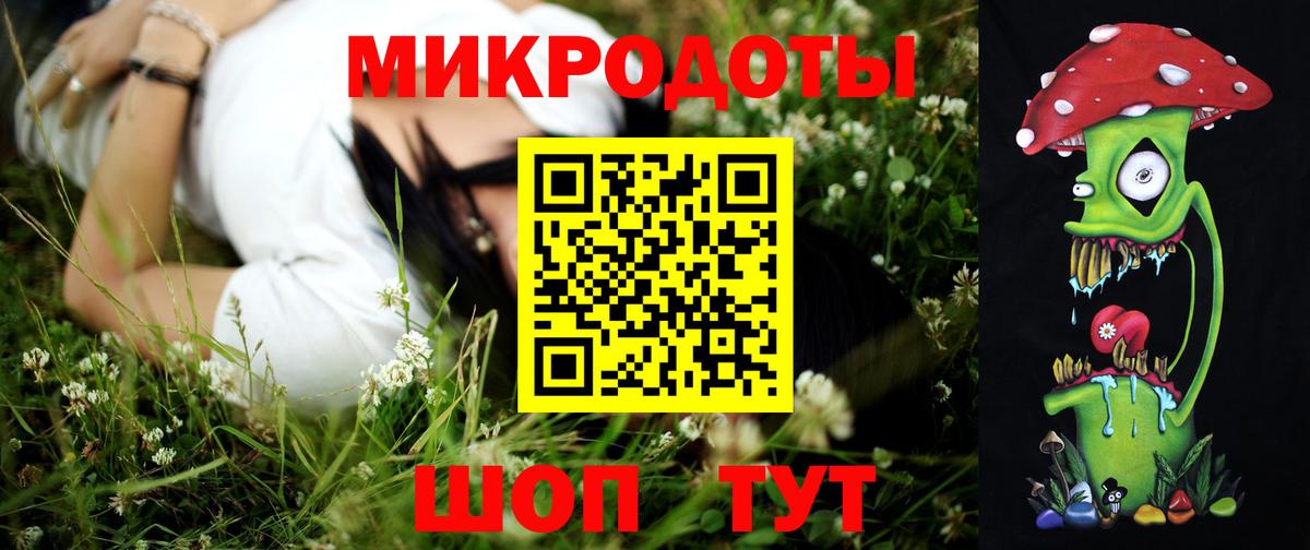 Псилоцибиновые грибы Cubensis Нальчик